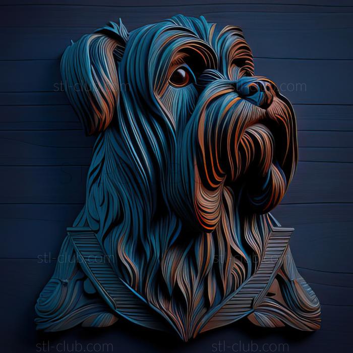 st Blue Gascon Griffon dog